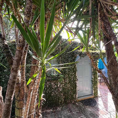 Studio Apartment Antonine نيو أورلينز المظهر الخارجي الصورة